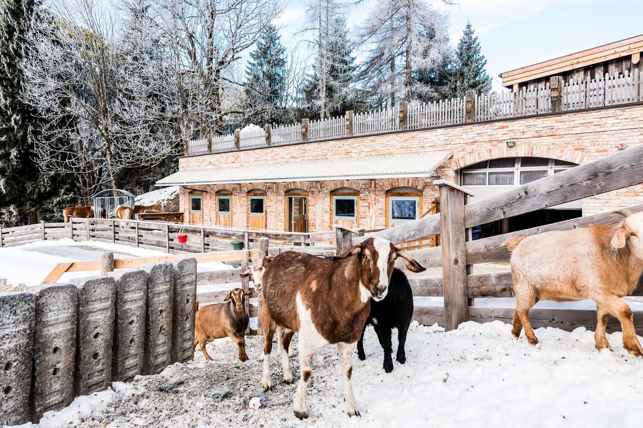 הוילה אונטרטאורן Peakini Farmhaus מראה חיצוני תמונה